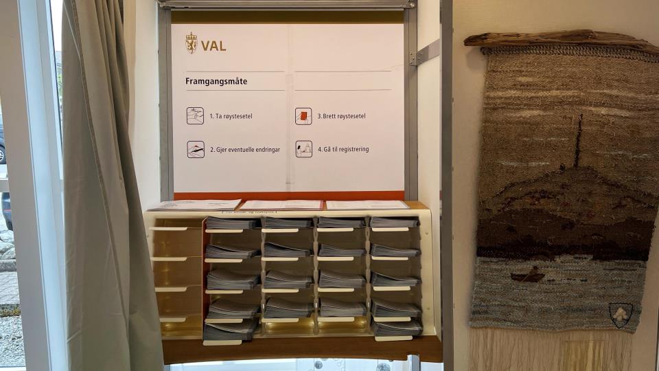 Lenkje til artikkel: Stortingsvalet 2025; tidlegrøysting