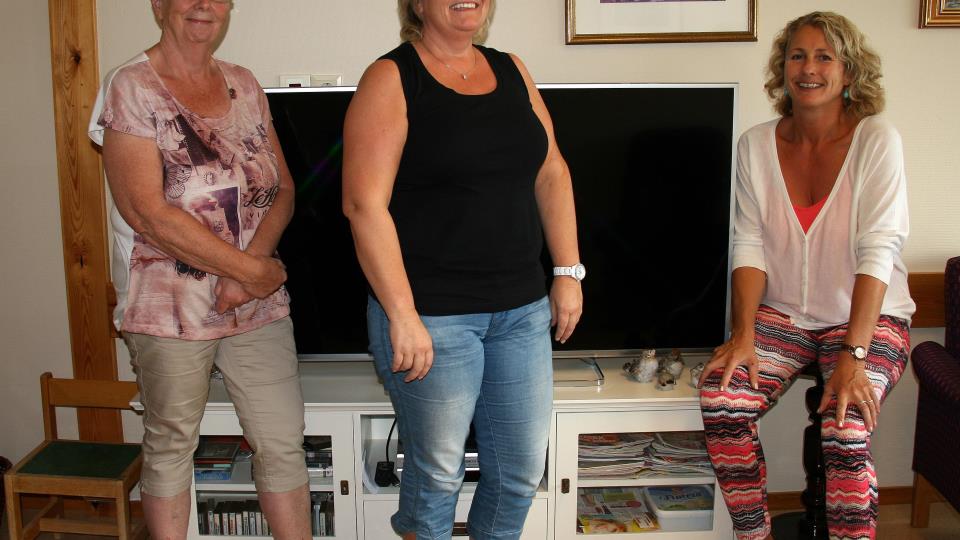 Lenkje til artikkel: Fekk TV av Saniteten