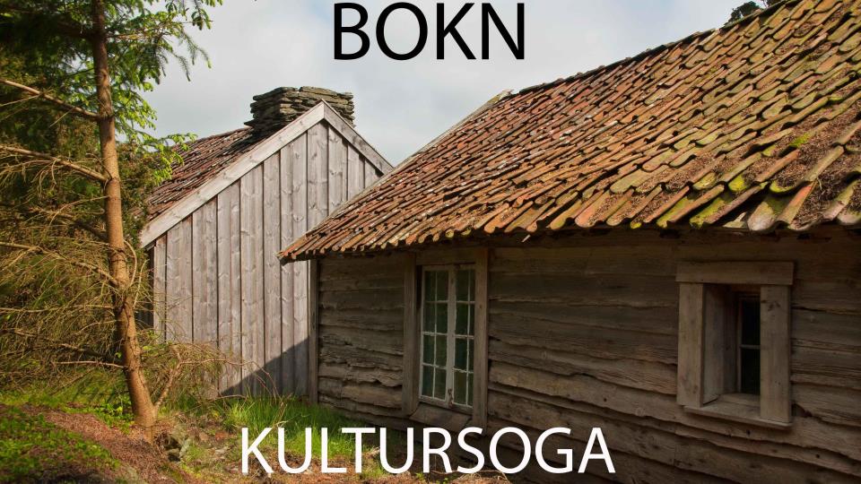 Lenkje til artikkel: Bokns fortid – ei gåve for framtida