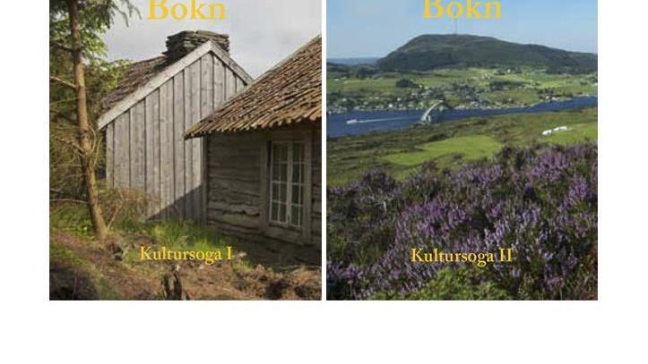 Lenkje til artikkel: Kjære historieinteresserte boknar!