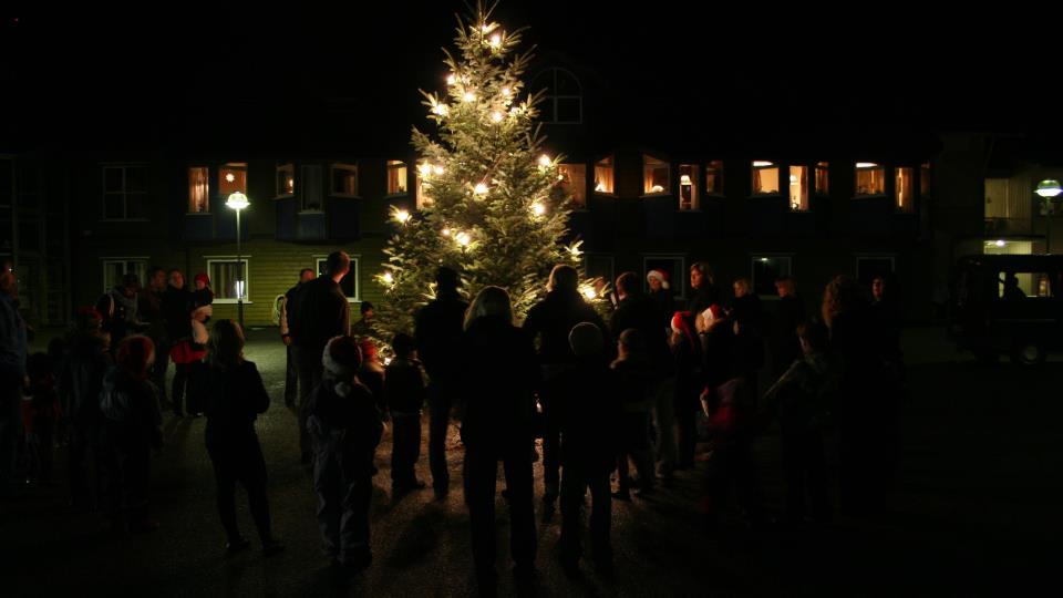 Lenkje til artikkel: Julegranstenning likevel