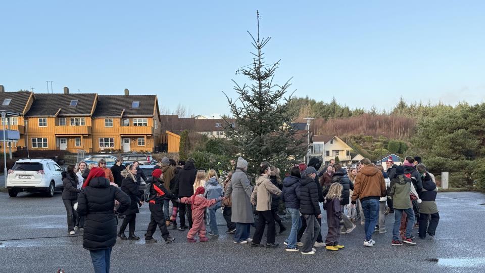 Lenkje til artikkel: Skulegang rundt juletreet