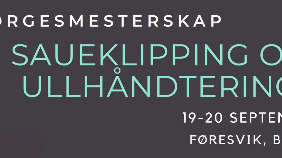 Lenkje til artikkel: Verdas beste NM i saueklipping på Bokn