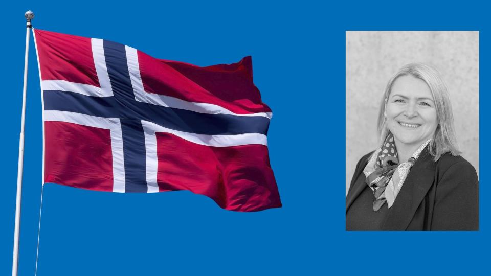 Lenkje til artikkel: Nasjonaldagsfeiringa i rute
