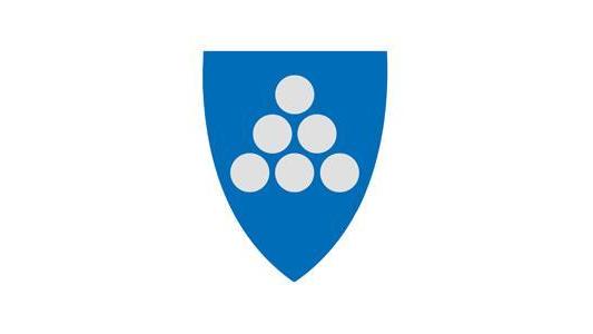Lenkje til artikkel: Kommunedirektør