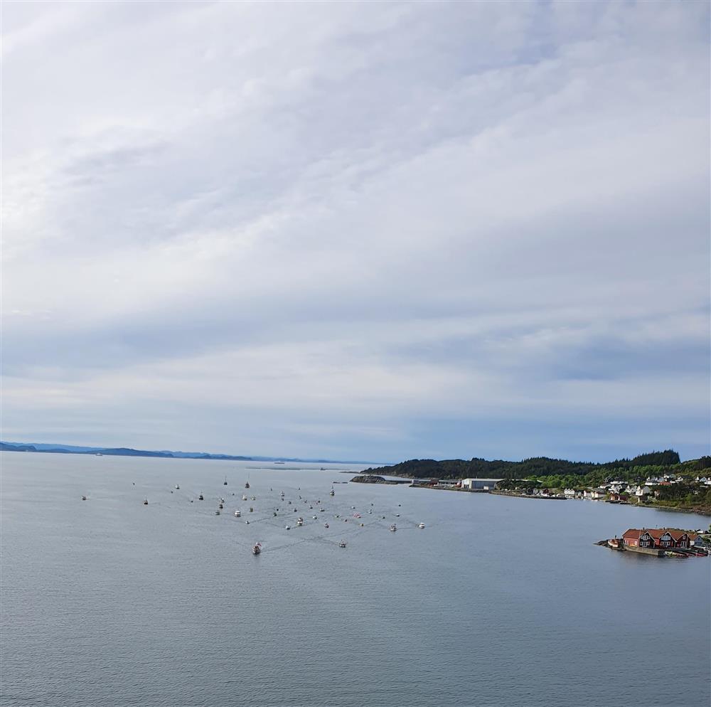 Frå 17. mai 2022 - Klikk for stort bilete