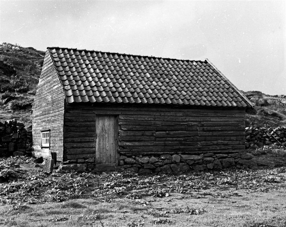 Klikk for stort bilete