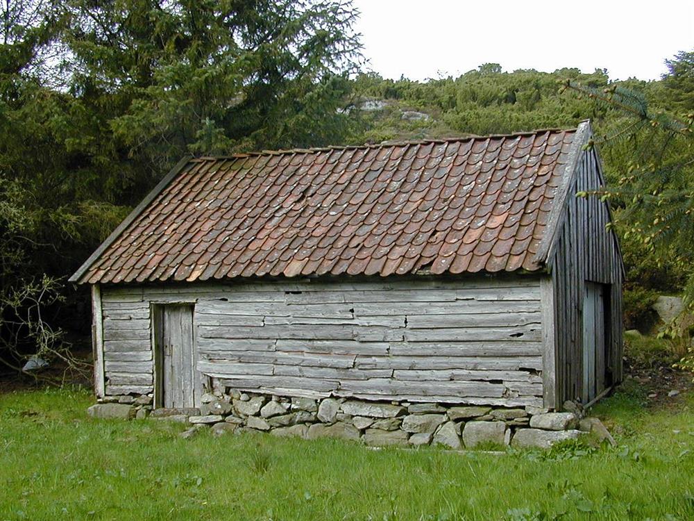 Klikk for stort bilete