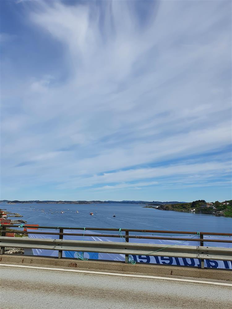 Frå 17. mai 2022 - Klikk for stort bilete