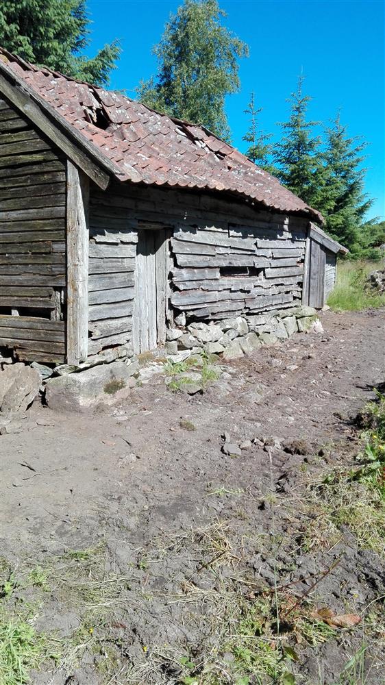 Klikk for stort bilete