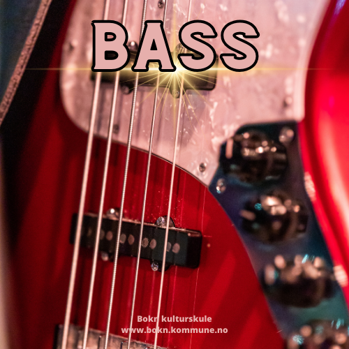 Bildet viser: Bassundervisning. Demonstrasjonsbilde. - Klikk for stort bilete